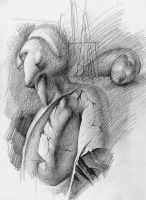 formes relief